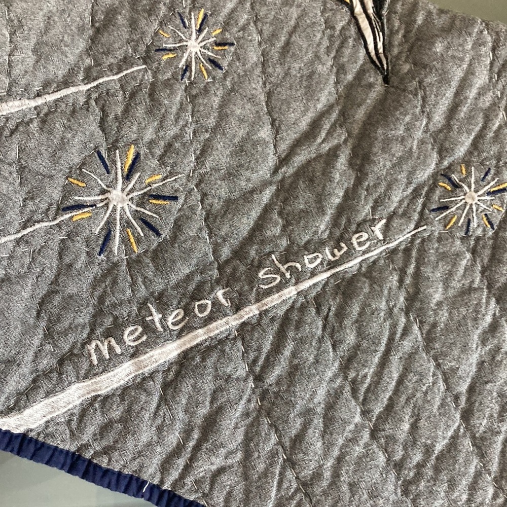 Pottery Barn Outer Space euro sham - Picture 4 of 6